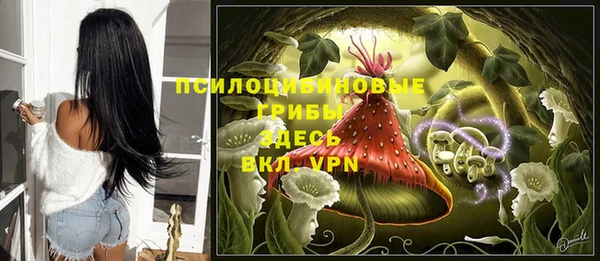 метадон Армянск