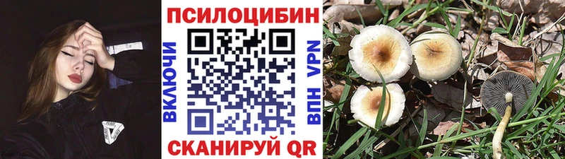 наркошоп Бобров Псилоцибиновые грибы ЛСД